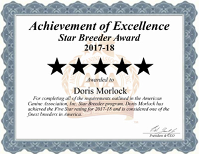 doris, morlock, dog, breeder, certificate, 2017, puppies, for, sale, doris-morlock, dog-breeder, puppies, pups, cindy hubers breeder, usda, inspected, inspection, records, for sale