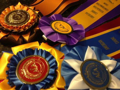 doris, morlock, dog, breeder, ribbons, puppies, for, sale, doris-morlock, dog-breeder, puppies, pups, cindy hubers breeder, usda, inspected, inspection, records, for sale